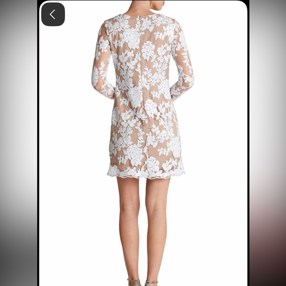 Dress The Population Grace A-Line Elegant Lace Floral Dress - White and Tan - Picture 9 of 9